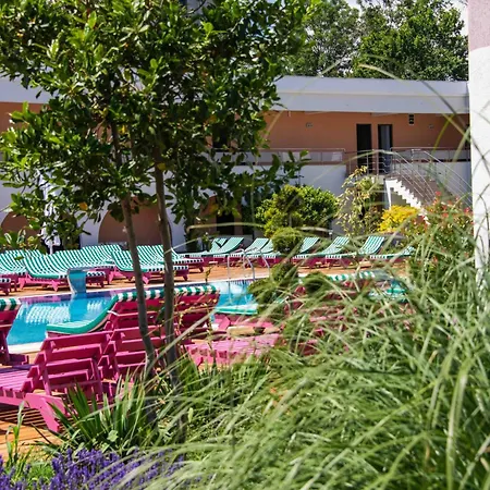Ibis Styles Hotel Venus