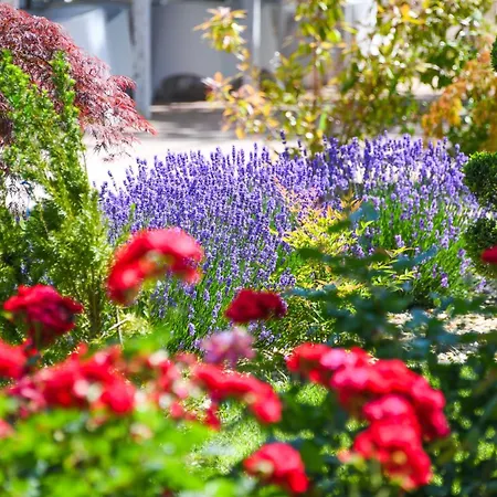 Ibis Styles מלון ונוס