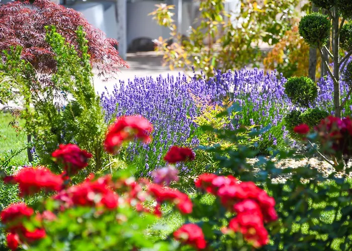 Ibis Styles Hotel Venus